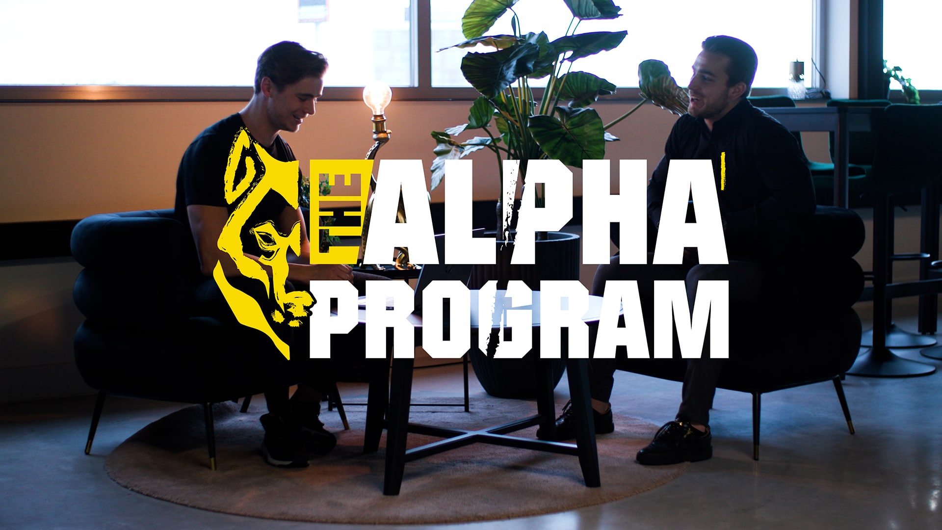 Contact | The Alpha Program